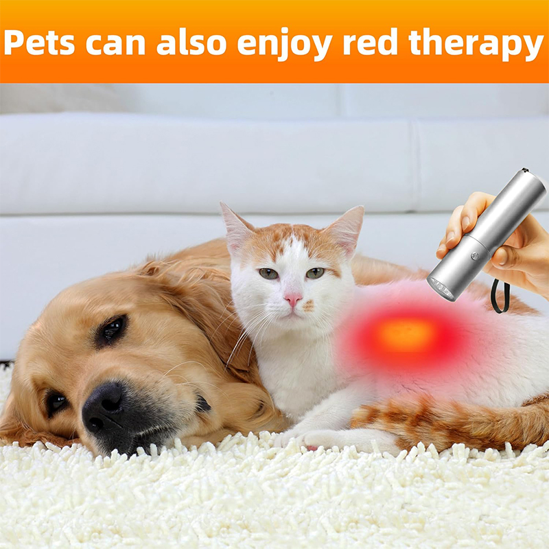 Blue Red Light Therapy Device  - Acne Light Therapy Pen recension och pris